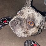 paul - @paul.dao_ - Instagram