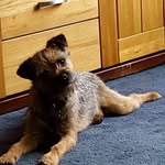 Paul Dearing - @paul.dearing.77 - Instagram