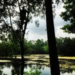 Paul Deblois - @ridasarenaut - Instagram