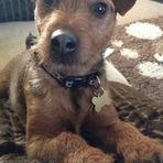Paul Deegan - Facebook