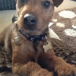 Paul Deegan - @deegan7824 - Instagram