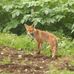 Paul Deery Photaes - Facebook