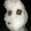 pauldemare - @pauldemare - TikTok