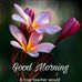 Paul Demaria - Facebook