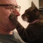 Paul E. Deuel - @catmandeuel9 - Instagram