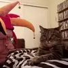 Paul E. Deuel - @paul.e..deuel - TikTok