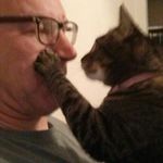 Paul E. Deuel - @catmandeuel - Instagram