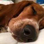 @paul.dever - Instagram