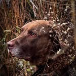 Paul Devitt - @pauly_dev - Instagram