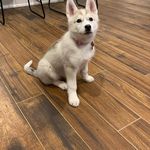 Paul De Vries - @paul.devries.984 - Instagram