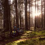 Paul de Vries - @mtbmorvan - Instagram