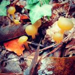 De Wilde Paul-Elie - @dewildepaulelie - Instagram