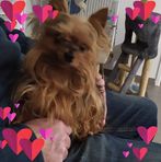 Paulette Dewilde - Facebook