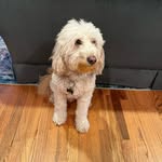 Paul Ewing - @pauldewing - Instagram
