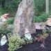 Paul DeWitt - Facebook