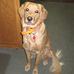 Paul DeWitt - Facebook
