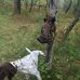Paul-Marcy DeWitt - Facebook