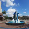 Paul Diamantis - @paul.diamantis - TikTok