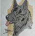 Didden Paul - Facebook