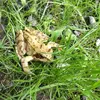 paul.diers - @paul.diers - TikTok