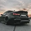 Paul Dietl - @paul.258 - TikTok