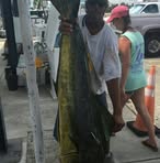 Paul Diggs - Facebook