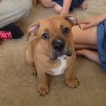 @pauldiggs83 - Instagram
