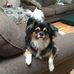 Paula DiGiacomo - Facebook