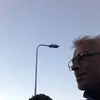albatross - @paulgabedijkstra - TikTok