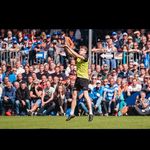 Paul Dijkstra - @paul.dijkstra - Instagram