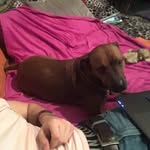 Paul Dillingham - @dillingham7866 - Instagram
