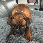 Paul Dilworth - @paul.dilly1985 - Instagram