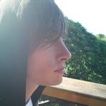 Ali Paul Dimmick - @alipetcat - Instagram