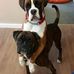 Paul Dines - Facebook