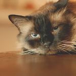 Paul Dinescu - @paul.dinescu - Instagram