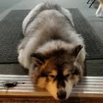 Paul J DiRienzo - @dirienzojj - Instagram