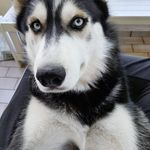 Paul Dirks - @dirksjohnpaul18 - Instagram