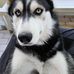 Paul Dirks - Facebook