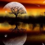 Ditty Paul - @ditty_paul - Instagram