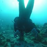 Paul Diver - @paulemann1708 - Instagram