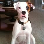 Paul Doane - @paul.doane2744 - Instagram