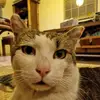 pablo - @pauldobrinescu0 - TikTok
