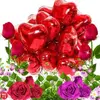 Paul Dobrin555 - @pauldobrin555 - TikTok