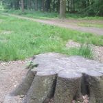 Paul Dobrin - @pauldobrin - Instagram