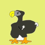paul the dodo - @dodebi20 - Instagram