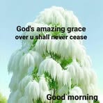Paul Doe - Facebook