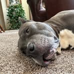 Paul Doe - Facebook