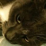 Paul Doe - @paul_doe73 - Instagram