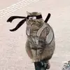 Paul Doe - @pauldoe0 - TikTok