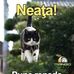 Paul Doi - Facebook